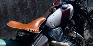 Vintege DS250